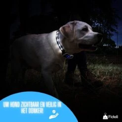 Fideli Anti Blafband - Zonder Schok - Grote En Kleine Honden - Oplaadbaar - LED Verlichte Band -Huisdierbenodigdheden 1200x1200 739