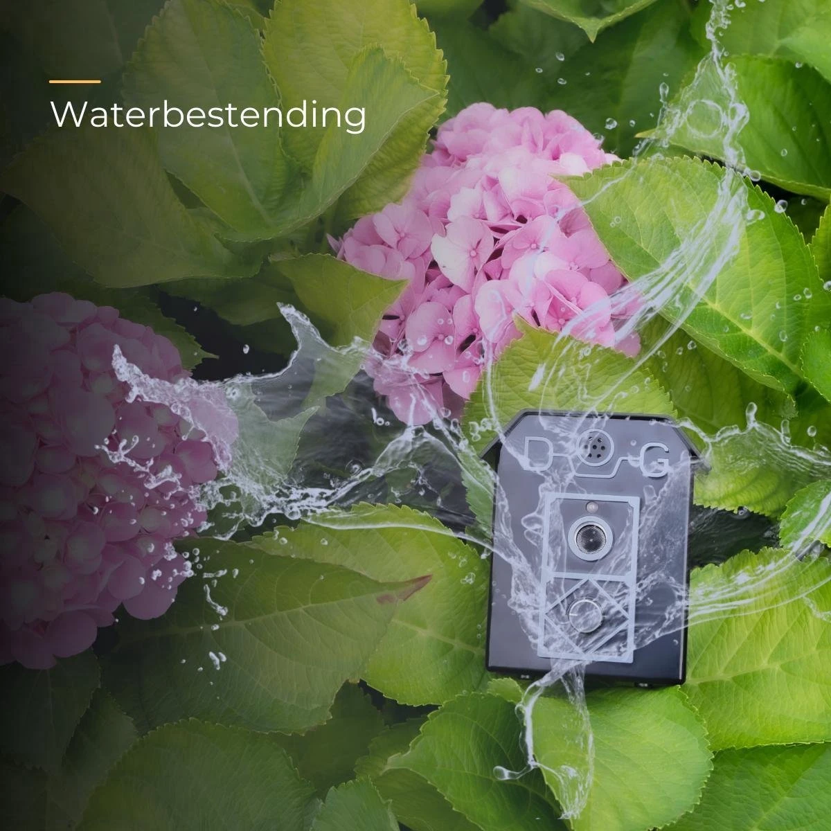 Merkloos Anti Blaf Apparaat Voor Honden - Alternatief Voor De Anti Blafband - Inclusief 9v Batterij & Nederlandse Handleiding - Diervriendelijk - Zonder Schok - Blafband Voor Honden - Zwart 4 Merkloos Anti Blaf Apparaat Voor Honden - Alternatief Voor De Anti Blafband - Inclusief 9v Batterij & Nederlandse Handleiding - Diervriendelijk - Zonder Schok - Blafband Voor Honden - Zwart - Afbeelding 4