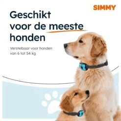 Simmy Anti Blafband - Diervriendelijke Opvoedingshalsband - Zwart En Blauw - Diervriendelijk - Zonder Schok - Anti Blaf Band Voor Grote En Kleine Honden -Huisdierbenodigdheden 1200x1200 748