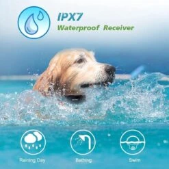 Anti Blafband EN Trainingshalsband In 1 - UNIEK Systeem - 500m Bereik - Trainingsband Opvoedband Waterdicht - Anti Blaf Apparaat - Teletac - Oplaadbaar - Volautomatisch - Grote & Kleine Hond -Huisdierbenodigdheden 1200x1200 752