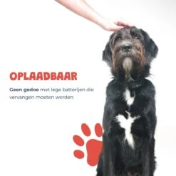 Anti Blafband - Blafband Voor Honden - Oplaadbaar - Anti Blaf Apparaat - Blafband - Diervriendelijk -Huisdierbenodigdheden 1200x1200 758