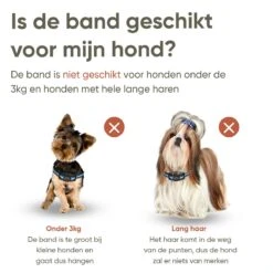 Premium Anti Blafband Apparaat Om Je Hond Snel En Effectief Te Laten Stoppen Met Blaffen - Diervriendelijke Opvoedingshalsband Zonder Schok - Trainingshalsband Voor Grote En Kleine Honden - Anti Blaf Apparaat - Correctie Halsband 11 Premium Anti Blafband Apparaat Om Je Hond Snel En Effectief Te Laten Stoppen Met Blaffen - Diervriendelijke Opvoedingshalsband Zonder Schok - Trainingshalsband Voor Grote En Kleine Honden - Anti Blaf Apparaat - Correctie Halsband -Huisdierbenodigdheden 1200x1200 775