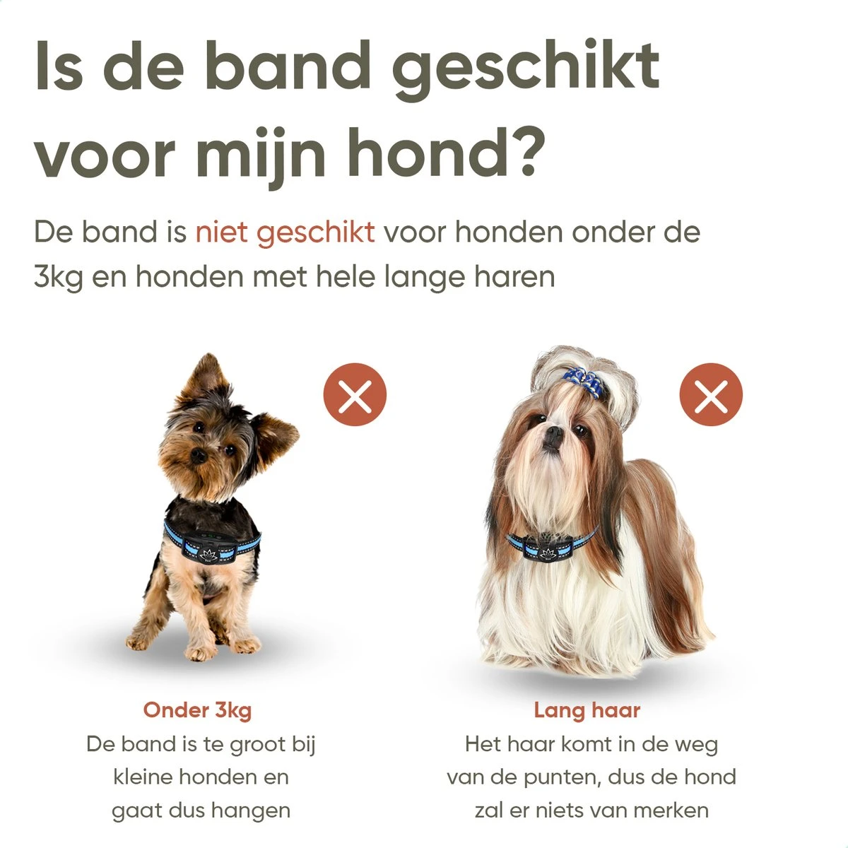 Premium Anti Blafband Apparaat Om Je Hond Snel En Effectief Te Laten Stoppen Met Blaffen - Diervriendelijke Opvoedingshalsband Zonder Schok - Trainingshalsband Voor Grote En Kleine Honden - Anti Blaf Apparaat - Correctie Halsband 3 Premium Anti Blafband Apparaat Om Je Hond Snel En Effectief Te Laten Stoppen Met Blaffen - Diervriendelijke Opvoedingshalsband Zonder Schok - Trainingshalsband Voor Grote En Kleine Honden - Anti Blaf Apparaat - Correctie Halsband - Afbeelding 3
