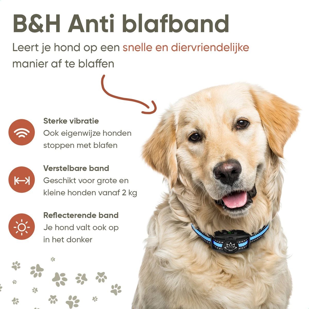 Premium Anti Blafband Apparaat Om Je Hond Snel En Effectief Te Laten Stoppen Met Blaffen - Diervriendelijke Opvoedingshalsband Zonder Schok - Trainingshalsband Voor Grote En Kleine Honden - Anti Blaf Apparaat - Correctie Halsband 5 Premium Anti Blafband Apparaat Om Je Hond Snel En Effectief Te Laten Stoppen Met Blaffen - Diervriendelijke Opvoedingshalsband Zonder Schok - Trainingshalsband Voor Grote En Kleine Honden - Anti Blaf Apparaat - Correctie Halsband - Afbeelding 5