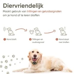 Premium Anti Blafband - Diervriendelijke Opvoedingshalsband Zonder Schok - Trainingshalsband Voor Grote En Kleine Honden - Anti Blaf Band - Correctie Halsband -Huisdierbenodigdheden 1200x1200 789