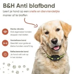 Premium Anti Blafband - Diervriendelijke Opvoedingshalsband Zonder Schok - Trainingshalsband Voor Grote En Kleine Honden - Anti Blaf Band - Correctie Halsband -Huisdierbenodigdheden 1200x1200 794