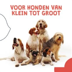 JC Pets Ultrasone Anti Blaf Apparaat Voor Kleine En Grote Honden - Oplaadbaar - Alternatief Anti Blafband Voor Honden - Diervriendelijk & Zonder Schok -Huisdierbenodigdheden 1200x1200 802