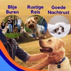 MyPets™ Anti-blafband - Anti Blaf Apparaat - Voor Kleine Honden En Grote Honden - Diervriendelijk - Opvoedingshalsband - Trainingshalsband - 2022/2023 Versie - Inclusief Batterijen -Huisdierbenodigdheden 1200x1200 807