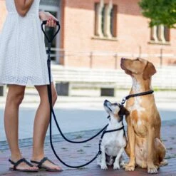 Rebel Petz - Dubbele Verstelbare Hondenriem Voor Twee Honden - Met Draaibare Sluiting En Zacht Handvat - Small En Large - Large (140 Cm Lang, Ø 12 Mm) -Huisdierbenodigdheden 1200x1200 81