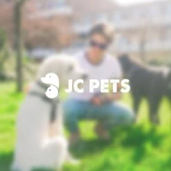 Anti Blafband - Blafband Voor Honden - Anti Blaf Apparaat - Blafband - Diervriendelijk & Zonder Schok -Huisdierbenodigdheden 1200x1200 815