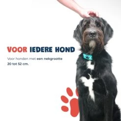 Anti Blafband - Blafband Voor Honden - Anti Blaf Apparaat - Blafband - Diervriendelijk & Zonder Schok -Huisdierbenodigdheden 1200x1200 817