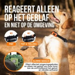 Strex Anti Blafband Voor Honden - 3-60KG - Oplaadbaar - Zonder Schok - Vibratie En Audio - Diervriendelijk - Anti Blaf Band - Anti Blaf Apparaat - Opvoedingshalsband Alle Honden -Huisdierbenodigdheden 1200x1200 829