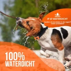 Strex Anti Blafband Voor Honden - 3-60KG - Oplaadbaar - Zonder Schok - Vibratie En Audio - Diervriendelijk - Anti Blaf Band - Anti Blaf Apparaat - Opvoedingshalsband Alle Honden -Huisdierbenodigdheden 1200x1200 831