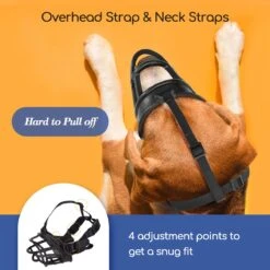 Nobleza Muilkorf Hond - Snuitomtrek 33 - Maat L - Zwart 10 Nobleza Muilkorf Hond - Snuitomtrek 33 - Maat L - Zwart -Huisdierbenodigdheden 1200x1200 874