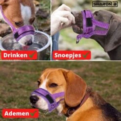 Sharon B Muilkorf Paars Maat M - Fleece - Wasbaar - Reflecterend -Huisdierbenodigdheden 1200x1200 876