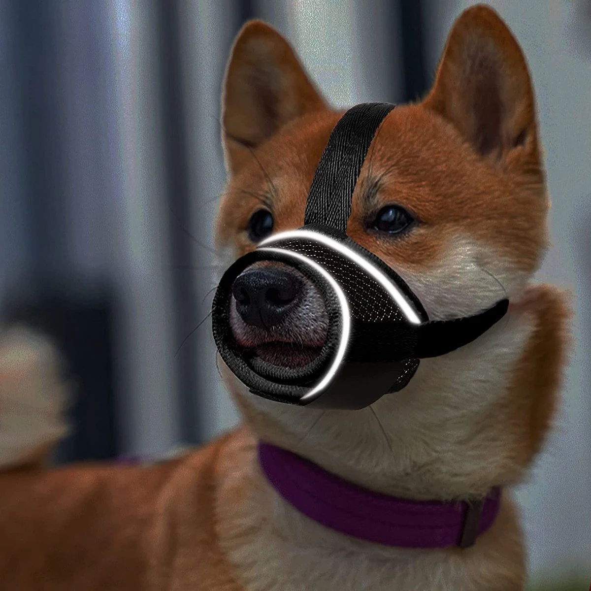 Merkloos Hoog Kwaliteit Muilkorf Met Bedrukt Patroon - Muilkorf Hond - Hondensnuit - Anti Blaf En Bijt - Voor Kleine En Grote Honden Maat M Zwart Reflecterend 3 Merkloos Hoog Kwaliteit Muilkorf Met Bedrukt Patroon - Muilkorf Hond - Hondensnuit - Anti Blaf En Bijt - Voor Kleine En Grote Honden Maat M Zwart Reflecterend - Afbeelding 3