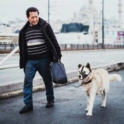 Merkloos Hoog Kwaliteit Muilkorf Met Bedrukt Patroon - Muilkorf Hond - Hondensnuit - Anti Blaf En Bijt - Voor Kleine En Grote Honden Maat M Zwart Reflecterend 12 Merkloos Hoog Kwaliteit Muilkorf Met Bedrukt Patroon - Muilkorf Hond - Hondensnuit - Anti Blaf En Bijt - Voor Kleine En Grote Honden Maat M Zwart Reflecterend -Huisdierbenodigdheden 1200x1200 879