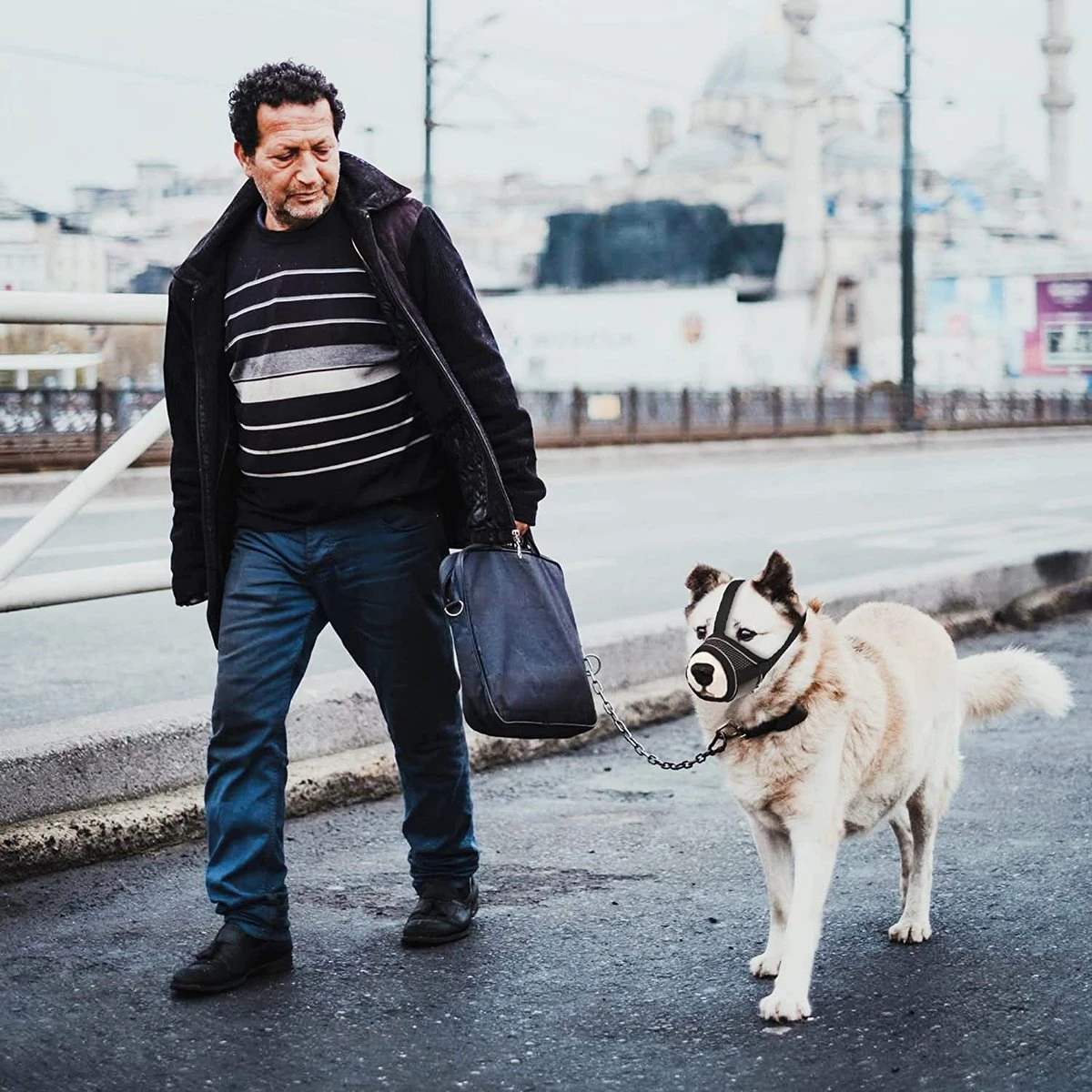 Merkloos Hoog Kwaliteit Muilkorf Met Bedrukt Patroon - Muilkorf Hond - Hondensnuit - Anti Blaf En Bijt - Voor Kleine En Grote Honden Maat M Zwart Reflecterend 6 Merkloos Hoog Kwaliteit Muilkorf Met Bedrukt Patroon - Muilkorf Hond - Hondensnuit - Anti Blaf En Bijt - Voor Kleine En Grote Honden Maat M Zwart Reflecterend - Afbeelding 6