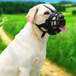 Sharon B Muilkorf Hond - Zwart - XXL - Voor Zeer Grote Honden - Snuitomtrek 38-43 Cm 14 Sharon B Muilkorf Hond - Zwart - XXL - Voor Zeer Grote Honden - Snuitomtrek 38-43 Cm -Huisdierbenodigdheden 1200x1200 886