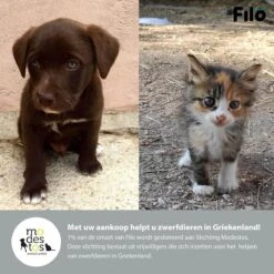 Filo Elastische Hondenriem Groot - Hardlopen En Wandelen - Hardloopriem Hond Handsfree Met Heuptasje - Looplijn Met Heupriem - Canicross Gordel Honden - Riemen - Heupgordel - Leiband -Huisdierbenodigdheden 1200x1200 92