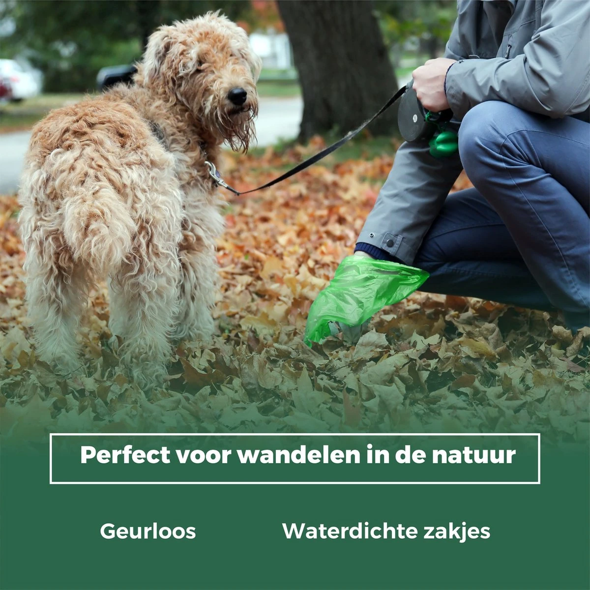 YORGS Hondenpoepzakjes Groen - Duurzame Poepzakjes Hond - Grote Sterke Zakken - 600 Stuks - 40 Rollen - 33 X 22 CM 8 YORGS Hondenpoepzakjes Groen - Duurzame Poepzakjes Hond - Grote Sterke Zakken - 600 Stuks - 40 Rollen - 33 X 22 CM - Afbeelding 8