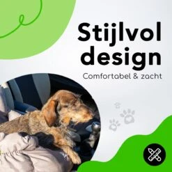 Doxie® Autostoel Hond – Hondenmand – 2 In 1 – 50 X 40 Cm – Wasbaar – Antislip – Waterbestendig – Incl. Autogordel – Maat S – Lichtgrijs -Huisdierbenodigdheden 1200x1200 930