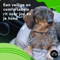 Doxie® Autostoel Hond – Hondenmand – 2 In 1 – 50 X 40 Cm – Wasbaar – Antislip – Waterbestendig – Incl. Autogordel – Maat S – Lichtgrijs -Huisdierbenodigdheden 1200x1200 936