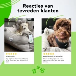 Doxie® Autostoel Hond – Hondenmand – 2 In 1 – 50 X 40 Cm – Wasbaar – Antislip – Waterbestendig – Incl. Autogordel – Maat S – Lichtgrijs -Huisdierbenodigdheden 1200x1200 937