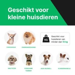Luxe Hondenstoel Auto – Donkergrijs - Autostoel Hond – Hondenmand Voor In De Auto – Autozitje – LumifyMe - 40 X 34 X 25 Cm 16 Luxe Hondenstoel Auto – Donkergrijs - Autostoel Hond – Hondenmand Voor In De Auto – Autozitje – LumifyMe - 40 X 34 X 25 Cm -Huisdierbenodigdheden 1200x1200 950