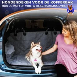 Pet Perfect Hondendeken Auto - Honden Achterbank & Kofferbak Beschermhoes - Autodeken - Hondenkleed 12 Pet Perfect Hondendeken Auto - Honden Achterbank & Kofferbak Beschermhoes - Autodeken - Hondenkleed -Huisdierbenodigdheden 1200x1200 981