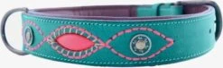 Dwam Halsband Janis Multi-Color - Hondenhalsband - 33-43x2.5 Cm -Huisdierbenodigdheden 1200x367