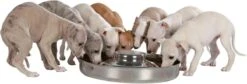 Trixie Puppy Voerbak - Puppytrog- Puppysaucer RVS -Huisdierbenodigdheden 1200x406