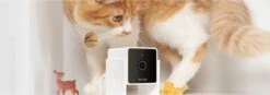 Petcube Pet Camera 1080p Hd Video Night Vision - IP Camera's - Wit -Huisdierbenodigdheden 1200x423