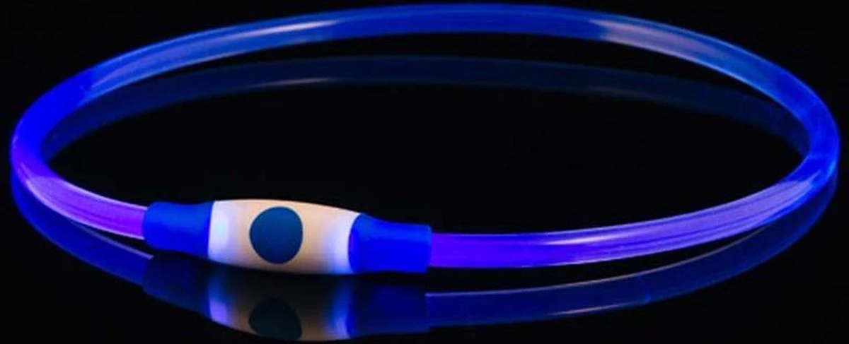 Led Dog Band USB | BEE SAFE -BLUE- | Dier Verlichting | Hondenband LED 2 Led Dog Band USB | BEE SAFE -BLUE- | Dier Verlichting | Hondenband LED - Afbeelding 2