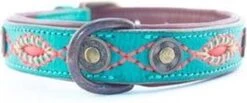 Dwam Halsband Janis Multi-Color - Hondenhalsband - 33-43x2.5 Cm -Huisdierbenodigdheden 1200x502 1
