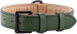 Brute Strength - Luxe Leren Halsband Hond - Donker Groen - L - (46 - 53 Cm) X 3,5cm