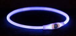 Trixie Halsband Usb Flash Light Lichtgevend Oplaadbaar Tpu Blauw - 40X0.8 CM 15 Trixie Halsband Usb Flash Light Lichtgevend Oplaadbaar Tpu Blauw - 40X0.8 CM -Huisdierbenodigdheden 1200x567 1