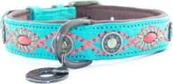 Dwam Halsband Janis Multi-Color - Hondenhalsband - 33-43x2.5 Cm -Huisdierbenodigdheden 1200x583 2