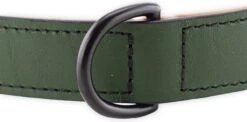 Brute Strength - Luxe Leren Halsband Hond - Donker Groen - L - (46 - 53 Cm) X 3,5cm -Huisdierbenodigdheden 1200x593 4