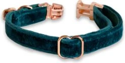 ACE Pets Kattenhalsband Met Belletje – Halsband Kat & Kitten - Kittenhalsband & Kattenbandje - Kattenbelletje - Pluche Velvet - Groen -Huisdierbenodigdheden 1200x611 6