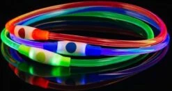 Led Dog Band USB | BEE SAFE -BLUE- | Dier Verlichting | Hondenband LED 19 Led Dog Band USB | BEE SAFE -BLUE- | Dier Verlichting | Hondenband LED -Huisdierbenodigdheden 1200x636 1