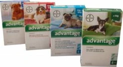 Bayer Advantage 100 Hond 4-10 Kg - 4 Pipetten à 1,0 Ml -Huisdierbenodigdheden 1200x651 1