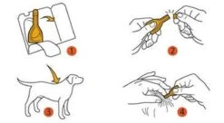 Prac-tic Middel Grote Hond 11 Tot 22 Kg - 1 St à 3 Pipetten -Huisdierbenodigdheden 1200x662 2