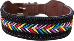 Hondenhalsband - Zwart - L ( Nekomvang 43 - 53 Cm )