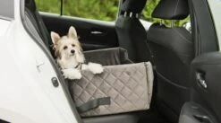 Velvet Silver - Autostoel Voor Hond - 57x50cm - Orthopedisch Kussen - Hondenmand Auto - Wasbaar - Handgemaakt -Huisdierbenodigdheden 1200x666