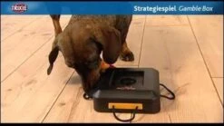 Trixie Dogtoy Dog Activity Strategy Game Gamble Box - Piepend Speelgoed - 15cm X 15cm X 9cm - Zwart/rood/oranje -Huisdierbenodigdheden 1200x675 11