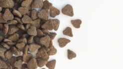 Carocroc Adult - Lam - Kattenvoer - 15 Kg -Huisdierbenodigdheden 1200x675 23