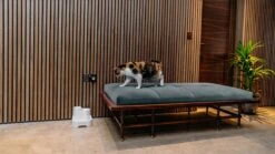 Cat Mate - Waterfontein Kat - Kattenfontein - Drinkfontein Kat - Fluisterstil - Poezen Fontein - Dieren Drinkbakken - Honden Fontein - 2 L 17 Cat Mate - Waterfontein Kat - Kattenfontein - Drinkfontein Kat - Fluisterstil - Poezen Fontein - Dieren Drinkbakken - Honden Fontein - 2 L -Huisdierbenodigdheden 1200x675 24