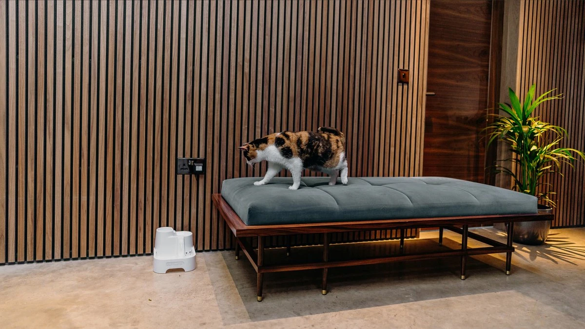 Cat Mate - Waterfontein Kat - Kattenfontein - Drinkfontein Kat - Fluisterstil - Poezen Fontein - Dieren Drinkbakken - Honden Fontein - 2 L 7 Cat Mate - Waterfontein Kat - Kattenfontein - Drinkfontein Kat - Fluisterstil - Poezen Fontein - Dieren Drinkbakken - Honden Fontein - 2 L - Afbeelding 7