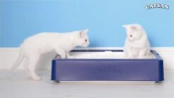 Catsan Active Fresh - Kattenbakvulling - 8 L -Huisdierbenodigdheden 1200x675 26